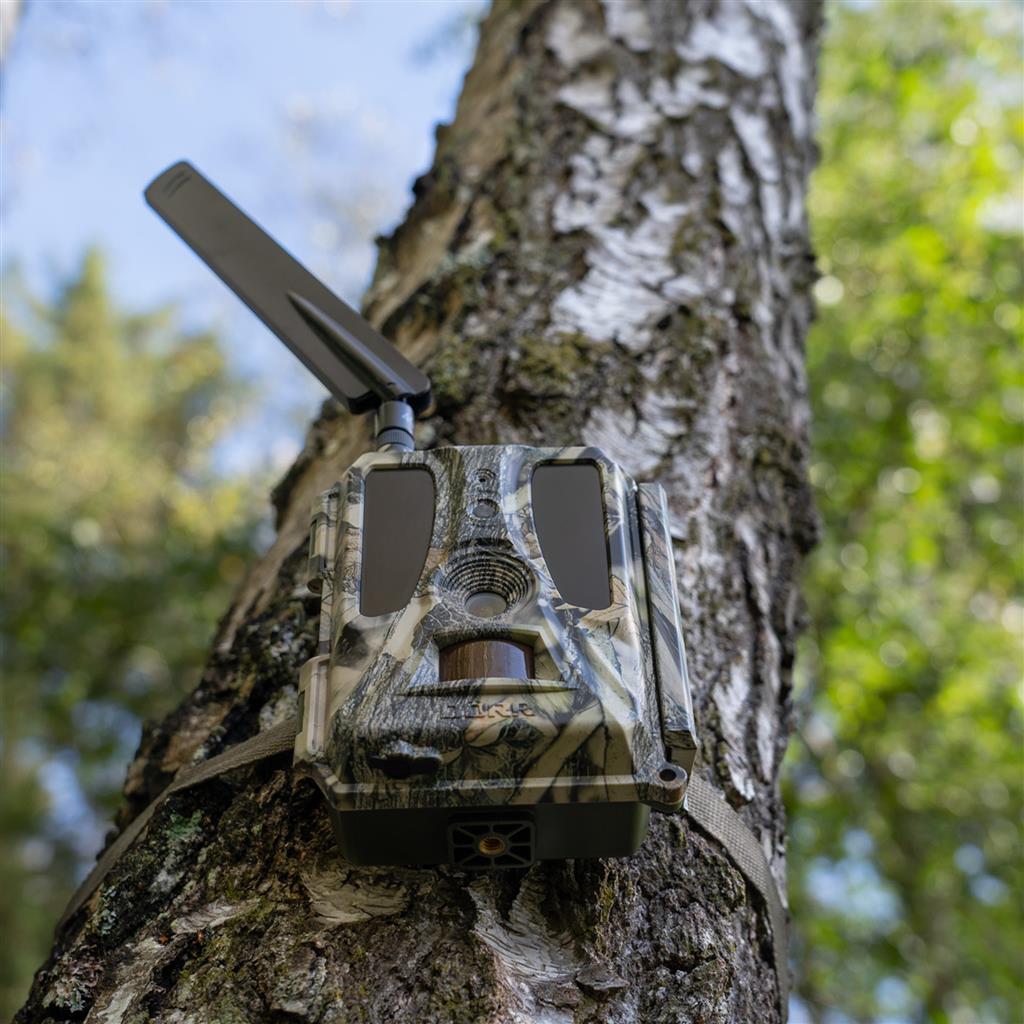 Wildkamera Cloud Pro 4G - Simlockfrei, APP, Akku- & Batteriebetrieb